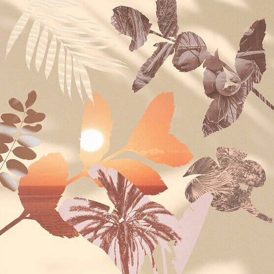 Jo Malone Colonia Beach Blossom